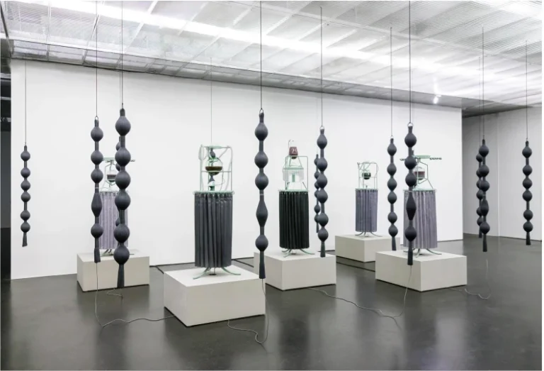 Chimera: Expanded Bodies, Amor Muñoz